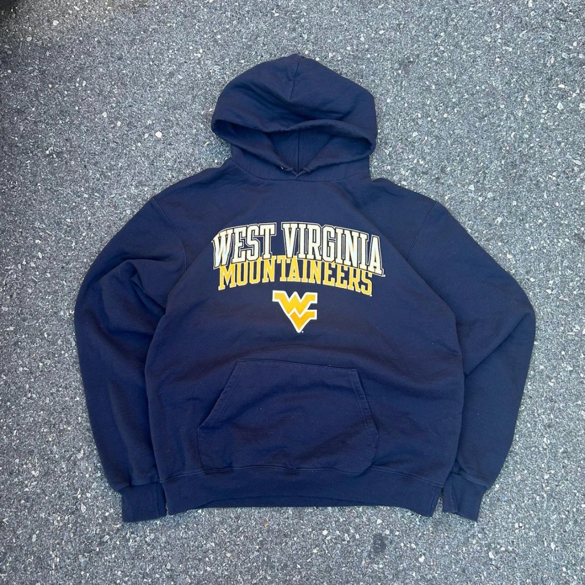 Champion Navy College Hoodie - L